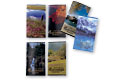 assorted scenic calendars