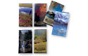 assorted scenic cals w/ vinyl