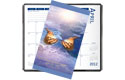 belief calendar no vinyl