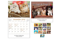 cats and dogs wall calendar